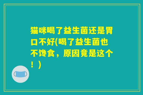 猫咪喝了益生菌还是胃口不好(喝了益生菌也不馋食，原因竟是这个！)