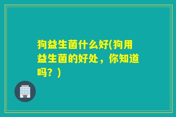 狗益生菌什么好(狗用益生菌的好处，你知道吗？)