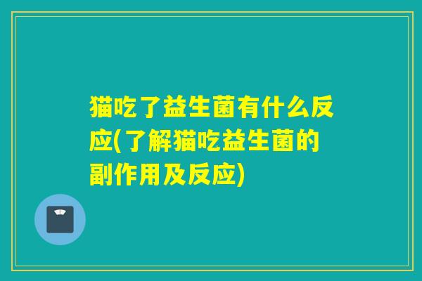 猫吃了益生菌有什么反应(了解猫吃益生菌的副作用及反应)