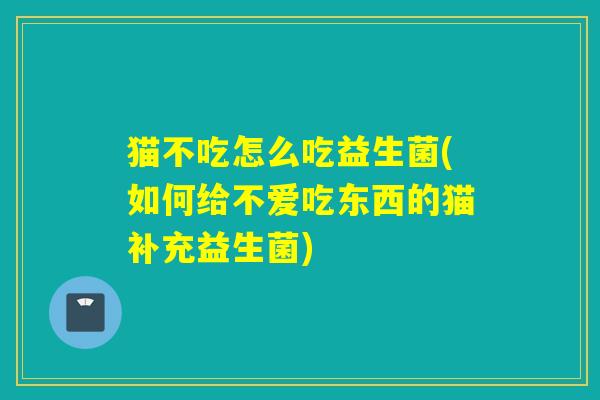 猫不吃怎么吃益生菌(如何给不爱吃东西的猫补充益生菌)