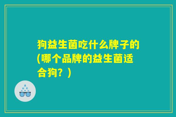 狗益生菌吃什么牌子的(哪个品牌的益生菌适合狗？)