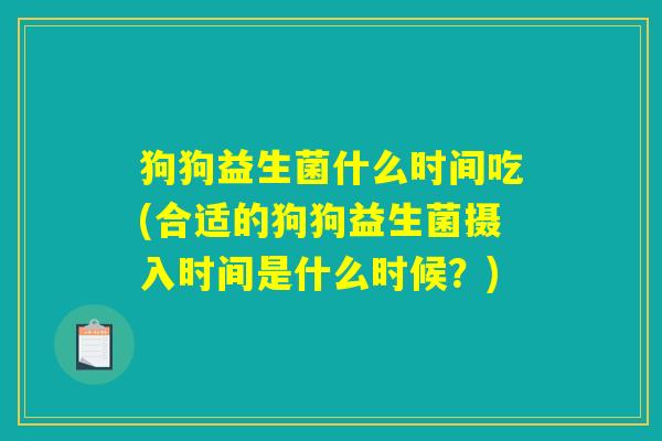 狗狗益生菌什么时间吃(合适的狗狗益生菌摄入时间是什么时候？)