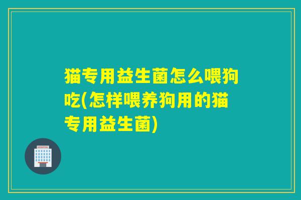 猫专用益生菌怎么喂狗吃(怎样喂养狗用的猫专用益生菌)