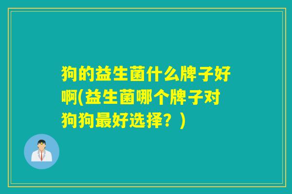 狗的益生菌什么牌子好啊(益生菌哪个牌子对狗狗最好选择？)