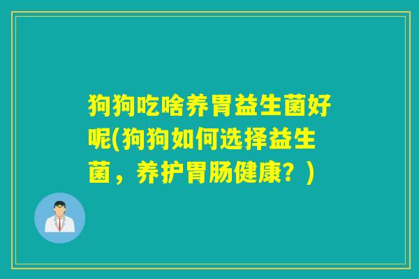 狗狗吃啥养胃益生菌好呢(狗狗如何选择益生菌，养护胃肠健康？)