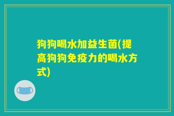 狗狗喝水加益生菌(提高狗狗免疫力的喝水方式)