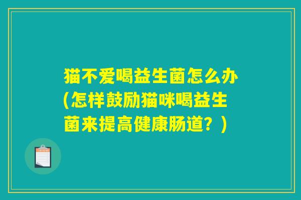 猫不爱喝益生菌怎么办(怎样鼓励猫咪喝益生菌来提高健康肠道？)