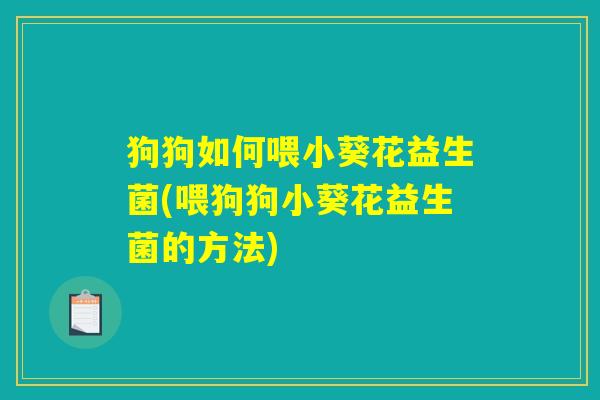 狗狗如何喂小葵花益生菌(喂狗狗小葵花益生菌的方法)