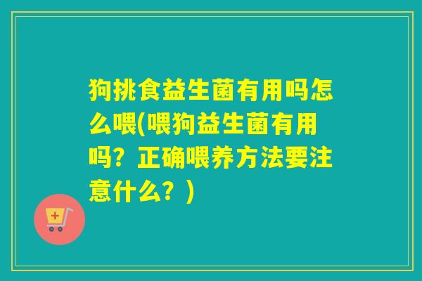 狗挑食益生菌有用吗怎么喂(喂狗益生菌有用吗？正确喂养方法要注意什么？)