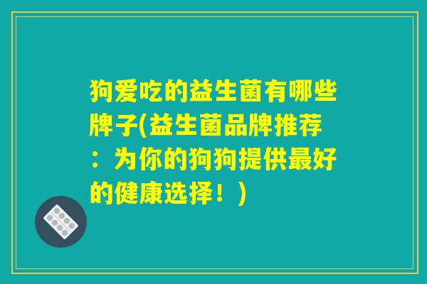 狗爱吃的益生菌有哪些牌子(益生菌品牌推荐：为你的狗狗提供最好的健康选择！)