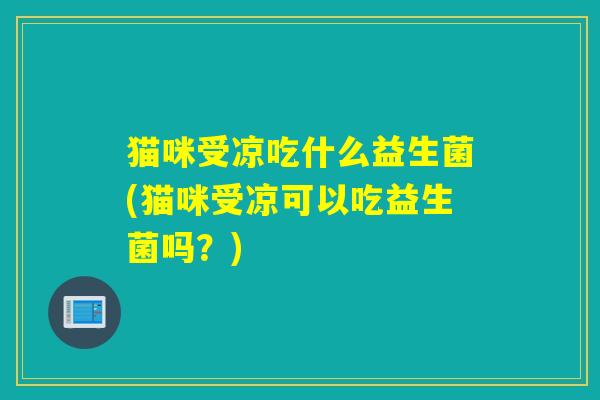 猫咪受凉吃什么益生菌(猫咪受凉可以吃益生菌吗？)