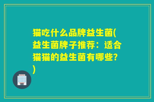 猫吃什么品牌益生菌(益生菌牌子推荐：适合猫猫的益生菌有哪些？)
