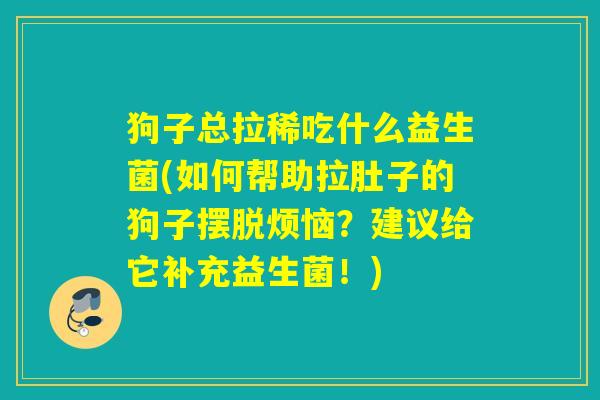 狗子总拉稀吃什么益生菌(如何帮助拉肚子的狗子摆脱烦恼?建议给它补充益生菌!) 狗子总拉稀吃什么益生菌(如何帮助拉肚子的狗子摆脱烦恼?建议给它补充益生菌!)