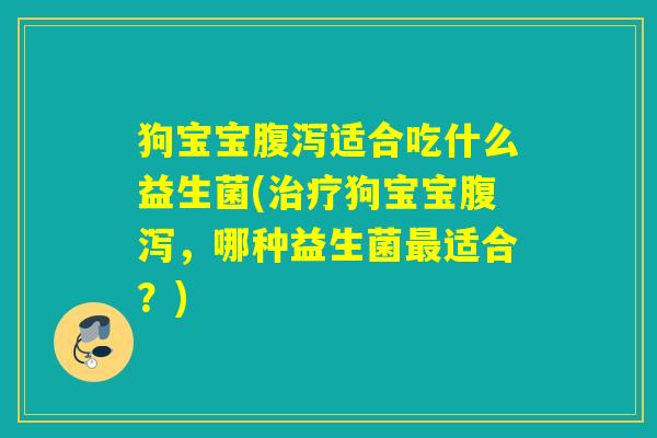 狗宝宝腹泻适合吃什么益生菌(治疗狗宝宝腹泻，哪种益生菌最适合？)