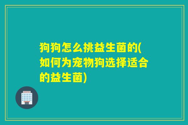 狗狗怎么挑益生菌的(如何为宠物狗选择适合的益生菌)
