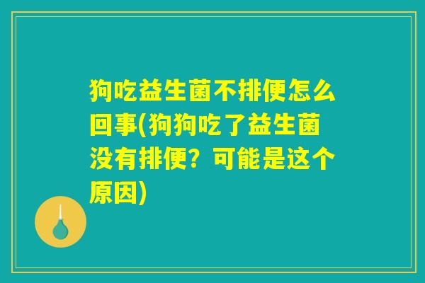 狗吃益生菌不排便怎么回事(狗狗吃了益生菌没有排便？可能是这个原因)