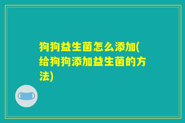 狗狗益生菌怎么添加(给狗狗添加益生菌的方法)