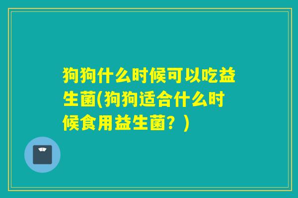 狗狗什么时候可以吃益生菌(狗狗适合什么时候食用益生菌？)