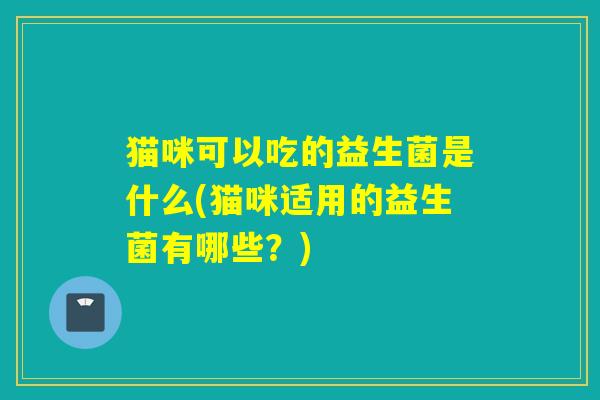 猫咪可以吃的益生菌是什么(猫咪适用的益生菌有哪些？)