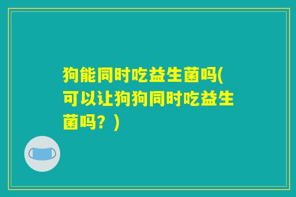 狗能同时吃益生菌吗(可以让狗狗同时吃益生菌吗？)