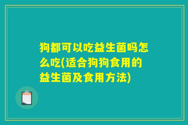 狗都可以吃益生菌吗怎么吃(适合狗狗食用的益生菌及食用方法)