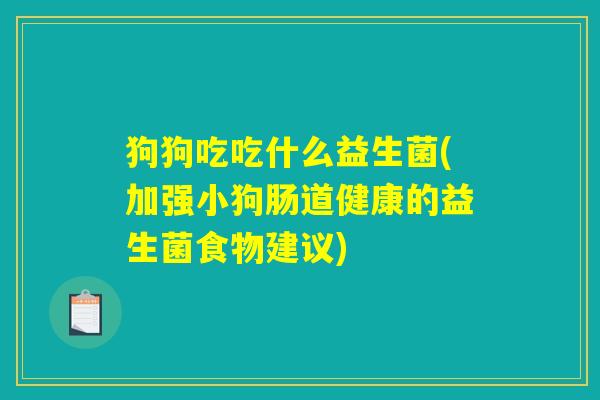 狗狗吃吃什么益生菌(加强小狗肠道健康的益生菌食物建议)