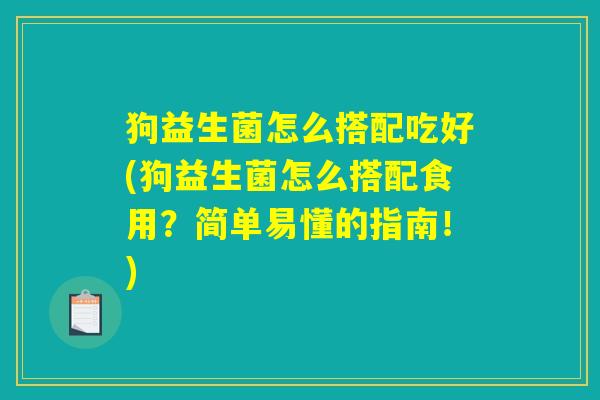 狗益生菌怎么搭配吃好(狗益生菌怎么搭配食用？简单易懂的指南！)