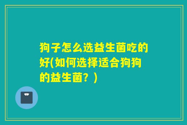 狗子怎么选益生菌吃的好(如何选择适合狗狗的益生菌？)