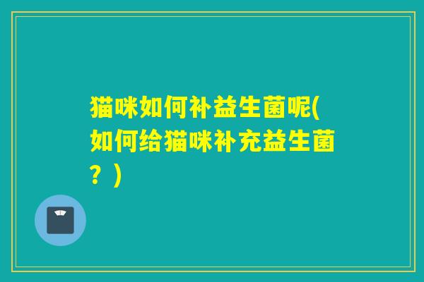 猫咪如何补益生菌呢(如何给猫咪补充益生菌？)