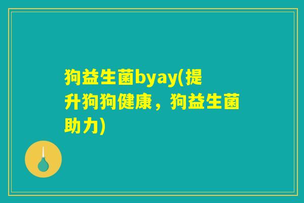 狗益生菌byay(提升狗狗健康，狗益生菌助力)
