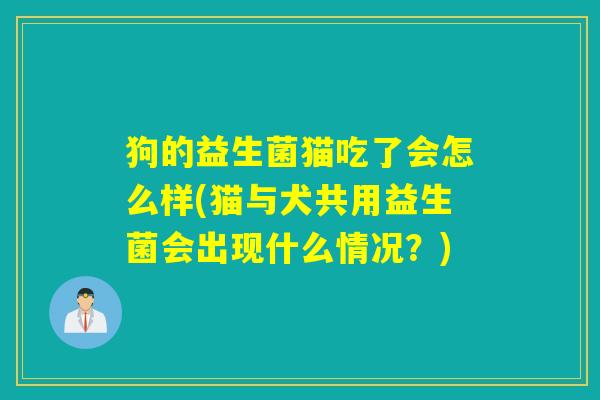 狗的益生菌猫吃了会怎么样(猫与犬共用益生菌会出现什么情况？)