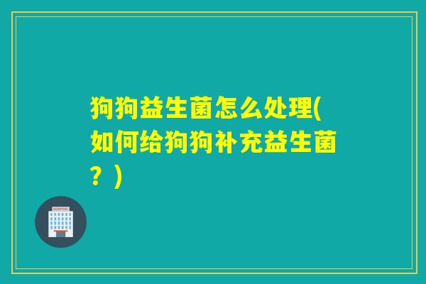 狗狗益生菌怎么处理(如何给狗狗补充益生菌？)
