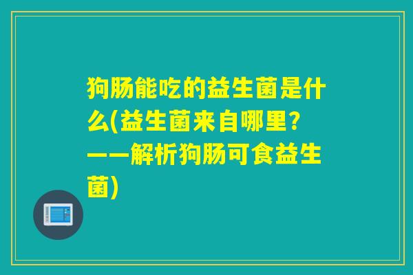 狗肠能吃的益生菌是什么(益生菌来自哪里?——解析狗肠可食益生菌) 狗肠能吃的益生菌是什么(益生菌来自哪里?——解析狗肠可食益生菌)