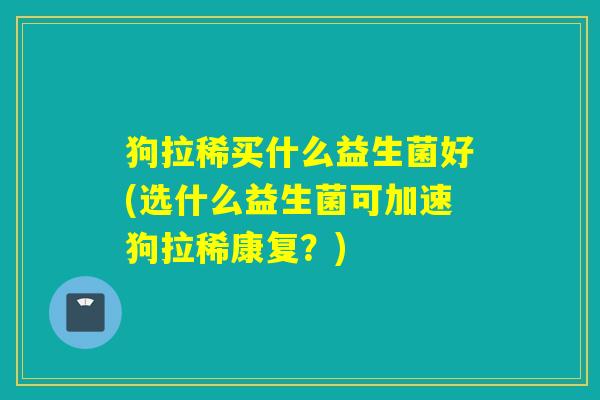 狗拉稀买什么益生菌好(选什么益生菌可加速狗拉稀康复？)