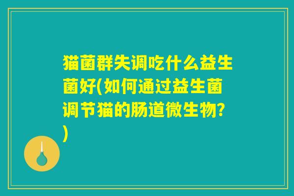 猫菌群失调吃什么益生菌好(如何通过益生菌调节猫的肠道微生物?) 猫菌群失调吃什么益生菌好(如何通过益生菌调节猫的肠道微生物?)