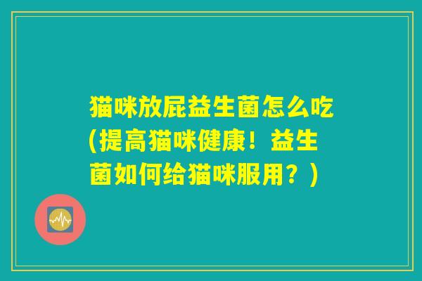猫咪放屁益生菌怎么吃(提高猫咪健康！益生菌如何给猫咪服用？)