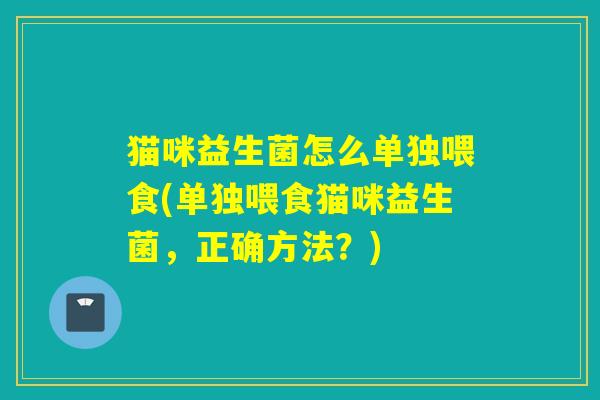 猫咪益生菌怎么单独喂食(单独喂食猫咪益生菌，正确方法？)