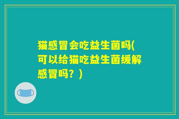 猫会吃益生菌吗(可以给猫吃益生菌缓解吗?) 猫会吃益生菌吗(可以给猫吃益生菌缓解吗?)