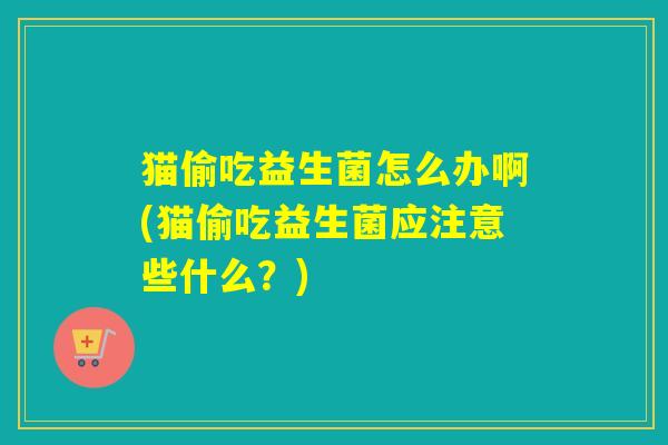 猫偷吃益生菌怎么办啊(猫偷吃益生菌应注意些什么？)