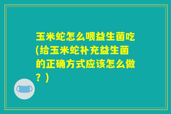 玉米蛇怎么喂益生菌吃(给玉米蛇补充益生菌的正确方式应该怎么做？)