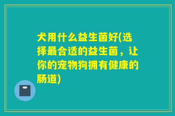 犬用什么益生菌好(选择合适的益生菌,让你的宠物狗拥有健康的肠道) 犬用什么益生菌好(选择合适的益生菌,让你的宠物狗拥有健康的肠道)
