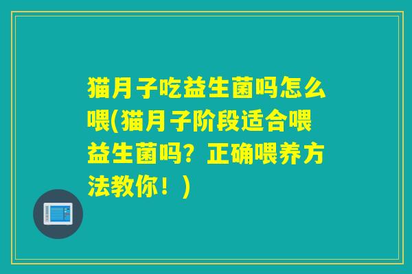 猫月子吃益生菌吗怎么喂(猫月子阶段适合喂益生菌吗？正确喂养方法教你！)