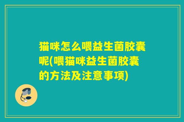 猫咪怎么喂益生菌胶囊呢(喂猫咪益生菌胶囊的方法及注意事项)
