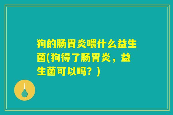 狗的肠胃炎喂什么益生菌(狗得了肠胃炎，益生菌可以吗？)