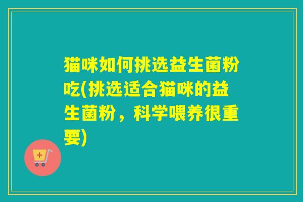 猫咪如何挑选益生菌粉吃(挑选适合猫咪的益生菌粉，科学喂养很重要)