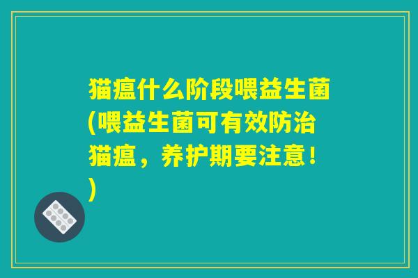 猫瘟什么阶段喂益生菌(喂益生菌可有效防治猫瘟，养护期要注意！)