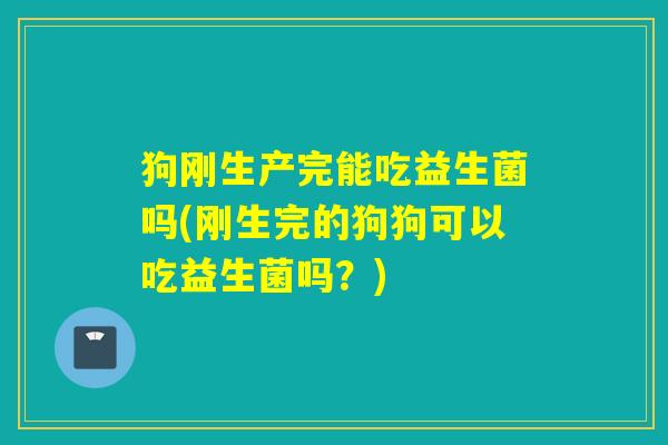 狗刚生产完能吃益生菌吗(刚生完的狗狗可以吃益生菌吗？)