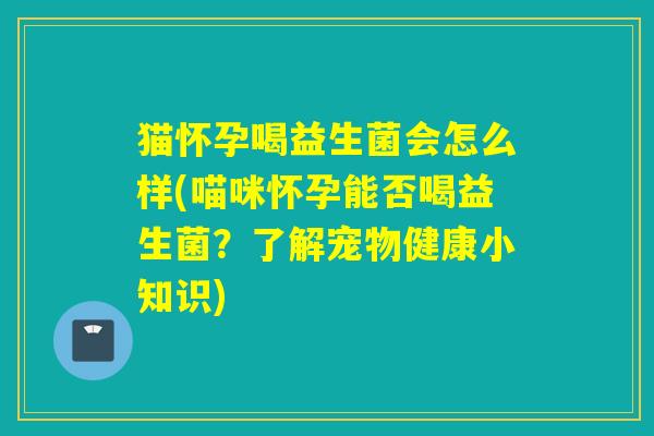 猫怀孕喝益生菌会怎么样(喵咪怀孕能否喝益生菌？了解宠物健康小知识)