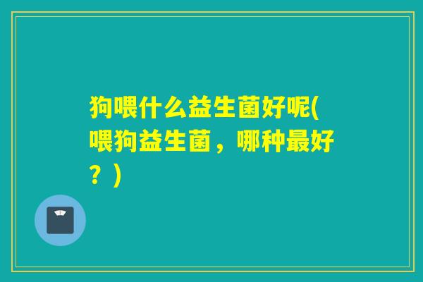 狗喂什么益生菌好呢(喂狗益生菌，哪种最好？)