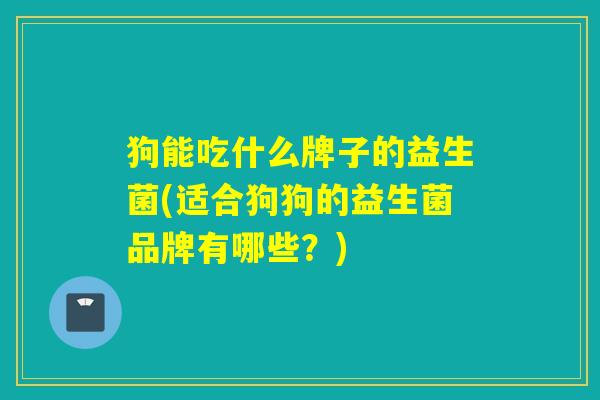 狗能吃什么牌子的益生菌(适合狗狗的益生菌品牌有哪些？)